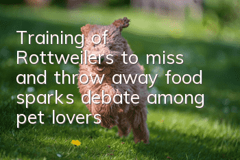 Training of Rottweilers to miss and throw away food sparks debate among pet lovers