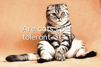 Are cats cold tolerant?