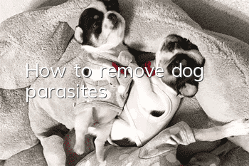 How to remove dog parasites