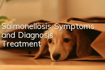 Salmonellosis Symptoms and Diagnosis | Treatment