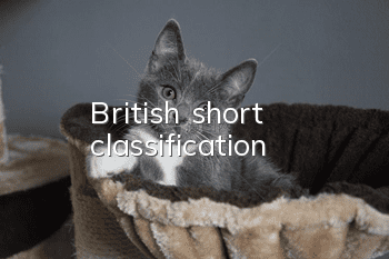 British short classification