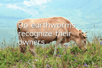 Do earthworms recognize their owners?