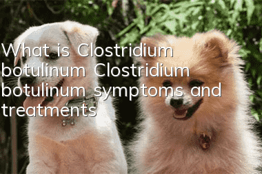 What is Clostridium botulinum? Clostridium botulinum symptoms and treatments