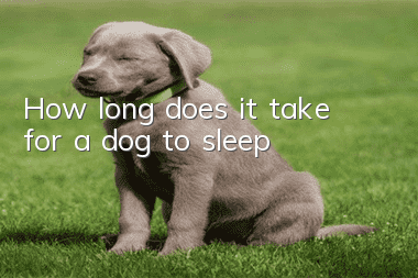 How long does it take for a dog to sleep?
