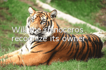 Will the rhinoceros recognize its owner?