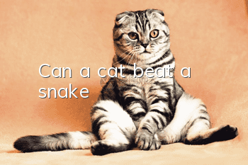 Can a cat beat a snake?