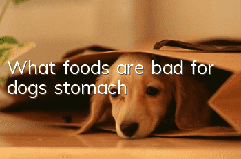 What foods are bad for dogs’ stomach?