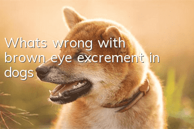 What's wrong with brown eye excrement in dogs?