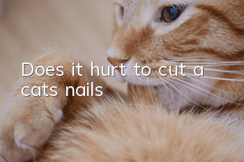 Does it hurt to cut a cat’s nails?