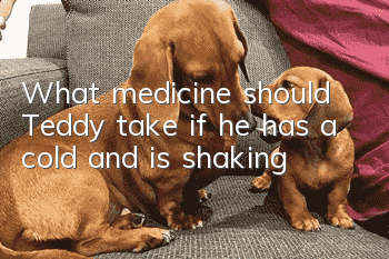 What medicine should Teddy take if he has a cold and is shaking?