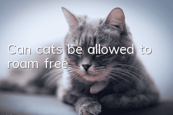 Can cats be allowed to roam free?