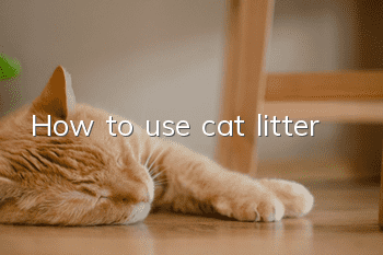 How to use cat litter