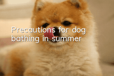 Precautions for dog bathing in summer