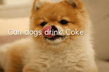 Can dogs drink Coke?