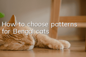 How to choose patterns for Bengal cats
