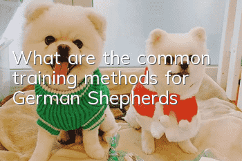What are the common training methods for German Shepherds?