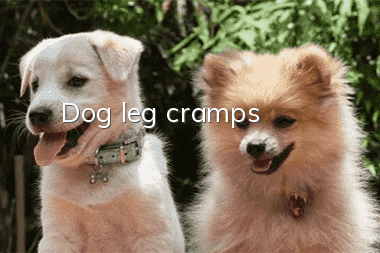 Dog leg cramps