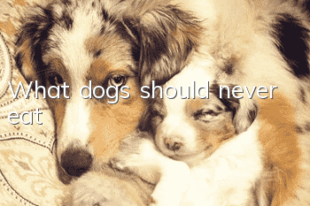 What dogs should never eat
