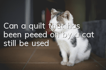 Can a quilt that has been peeed on by a cat still be used?
