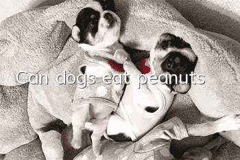 Can dogs eat peanuts?