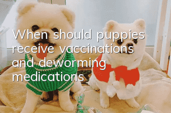 When should puppies receive vaccinations and deworming medications?