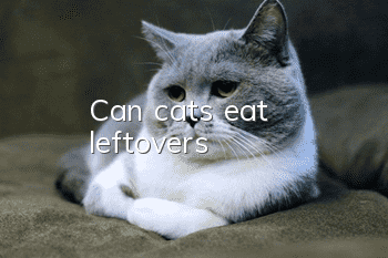 Can cats eat leftovers?