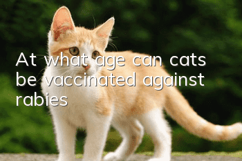 At what age can cats be vaccinated against rabies?