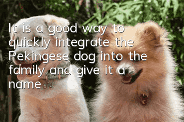 It is a good way to quickly integrate the Pekingese dog into the family and give it a name.