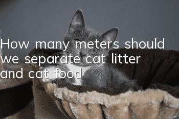 How many meters should we separate cat litter and cat food?