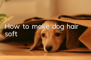 How to make dog hair soft