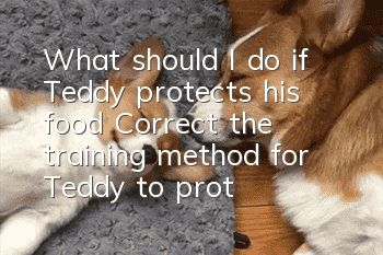 What should I do if Teddy protects his food? Correct the training method for Teddy to protect his food