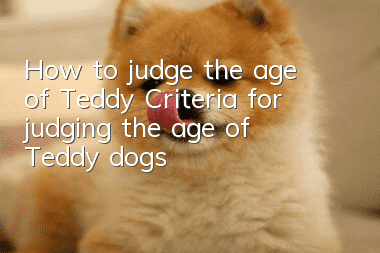 How to judge the age of Teddy? Criteria for judging the age of Teddy dogs