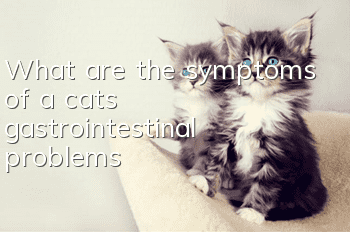 What are the symptoms of a cat’s gastrointestinal problems?