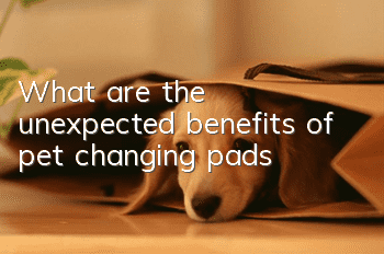 What are the unexpected benefits of pet changing pads?
