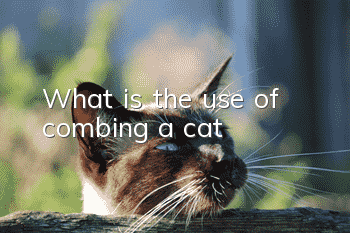 What is the use of combing a cat?