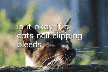 Is it okay if a cat’s nail clipping bleeds?