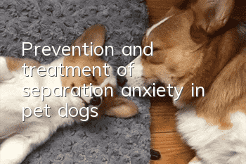 Prevention and treatment of separation anxiety in pet dogs