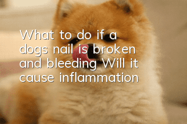 What to do if a dog’s nail is broken and bleeding? Will it cause inflammation?