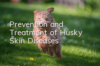 Prevention and Treatment of Husky Skin Diseases