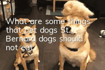 What are some things that pet dogs, St. Bernard dogs, should not eat?