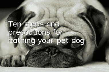 Ten steps and precautions for bathing your pet dog