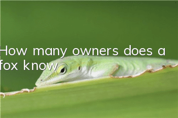 How many owners does a fox know?