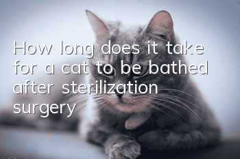 How long does it take for a cat to be bathed after sterilization surgery?