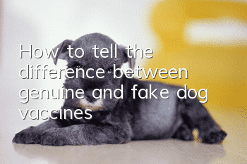 How to tell the difference between genuine and fake dog vaccines