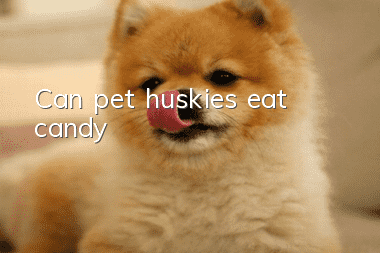 Can pet huskies eat candy?