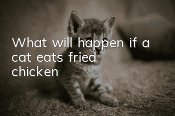 What will happen if a cat eats fried chicken?