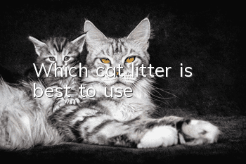 Which cat litter is best to use?