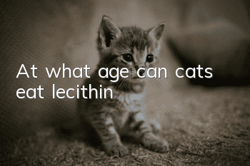 At what age can cats eat lecithin?