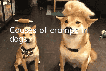 Causes of cramps in dogs