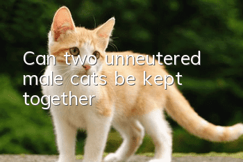Can two unneutered male cats be kept together?